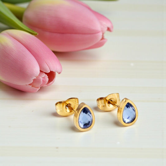 Blue Lagoon Studs Earrings 2