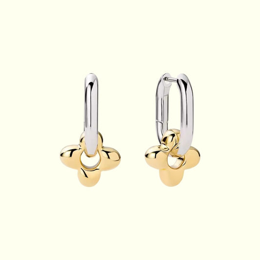 Pair of gold and silver hoop earrings on a white background